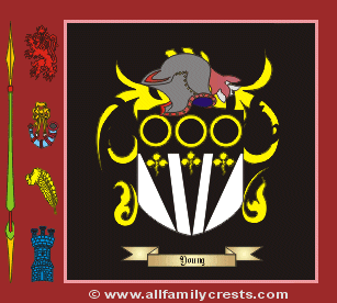 Youngs Coat of Arms
